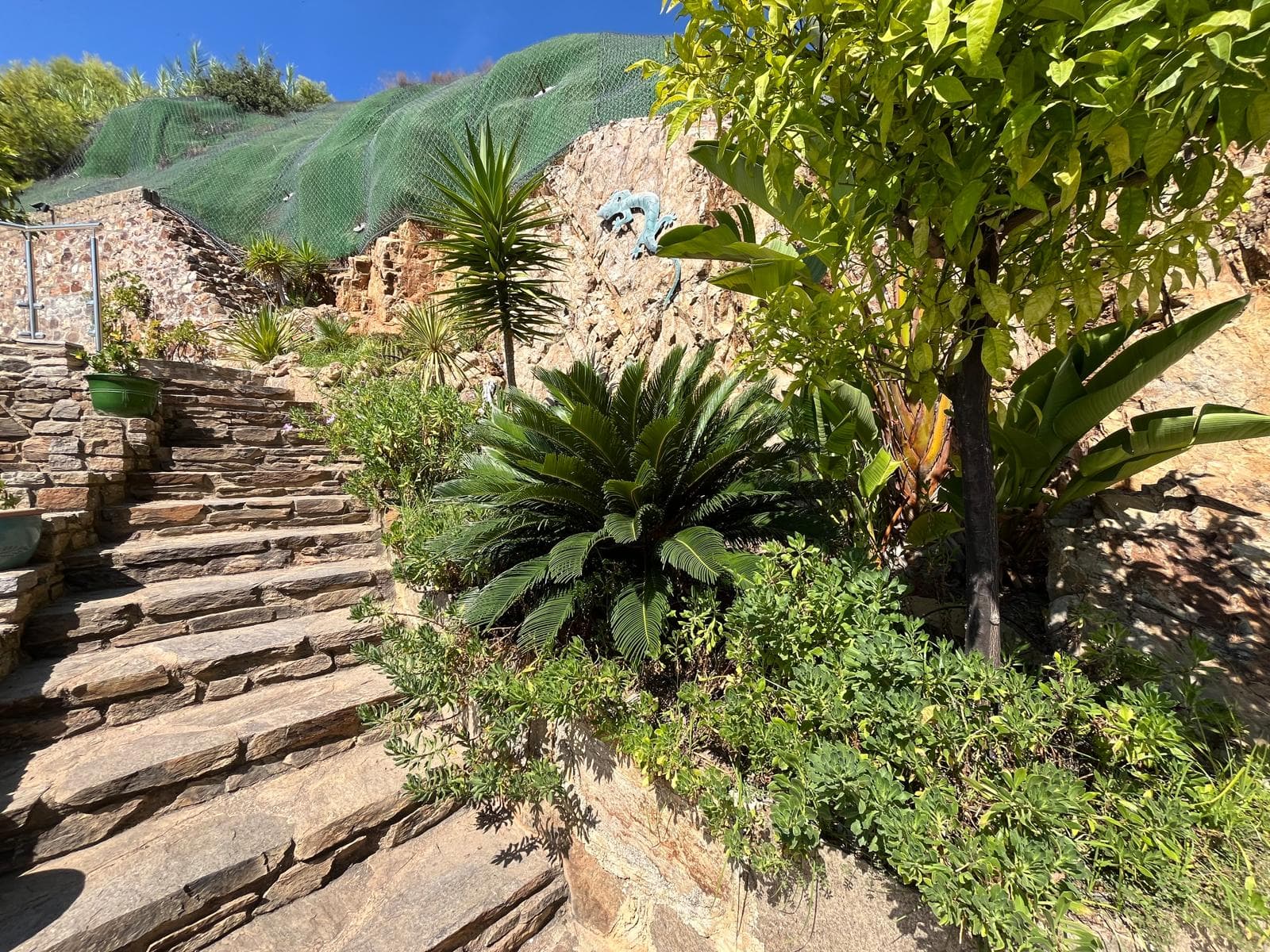Escalier en pierre et vegetation
