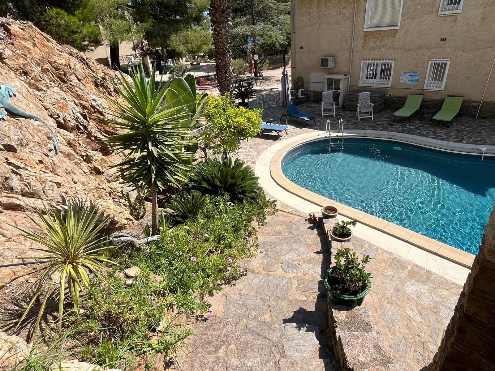 Piscine et vegetation